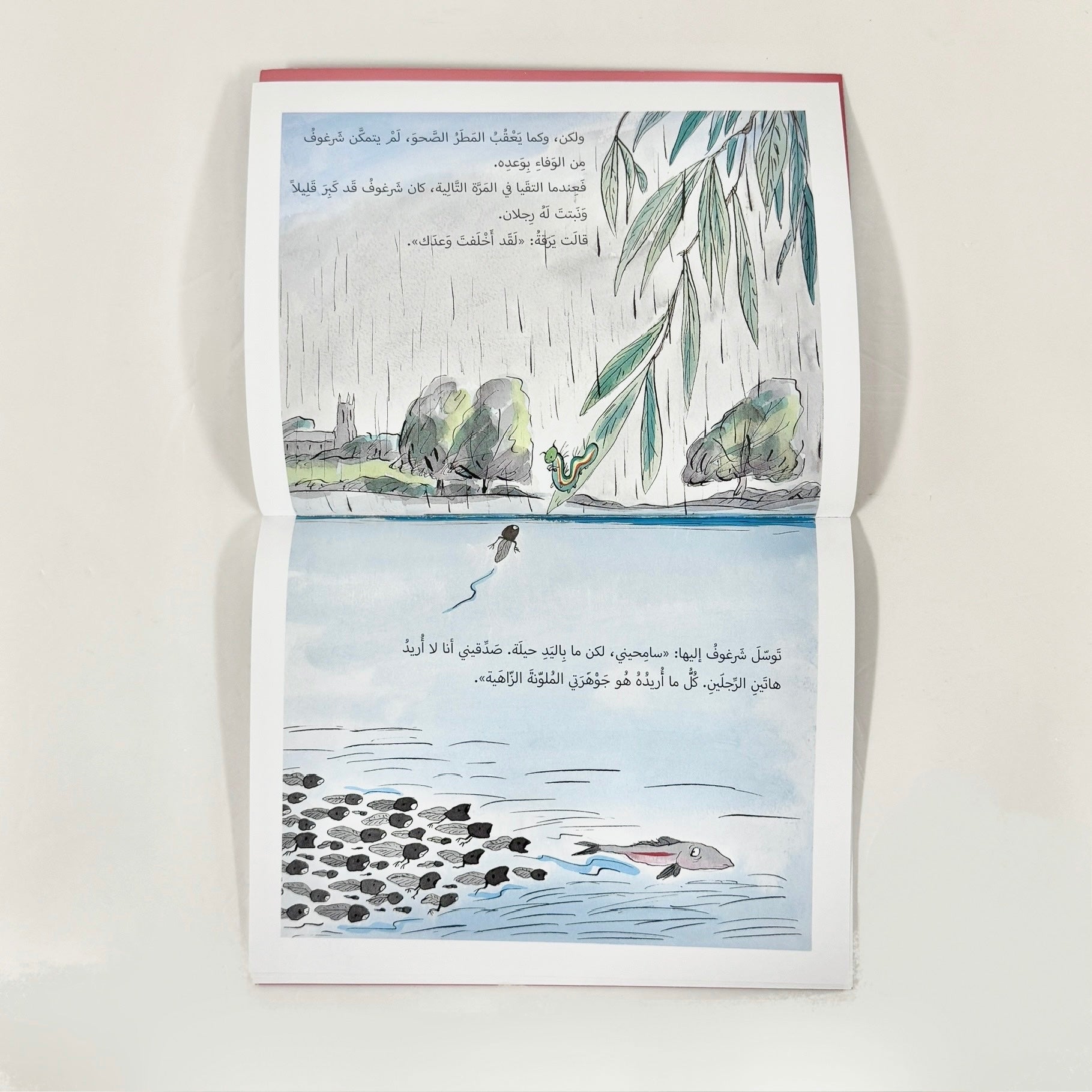 وعد الشرغوف