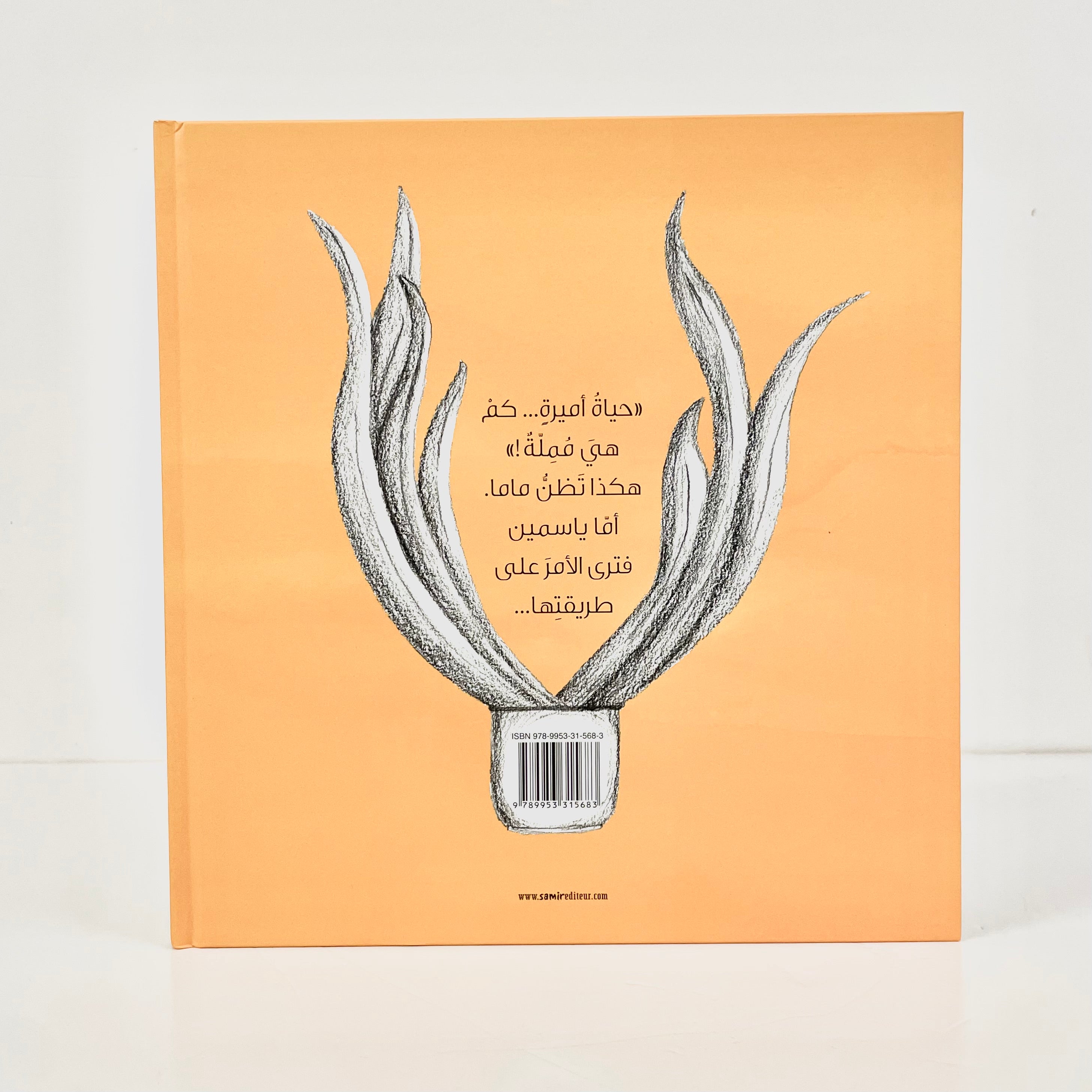 أميرة .. على طريقتي