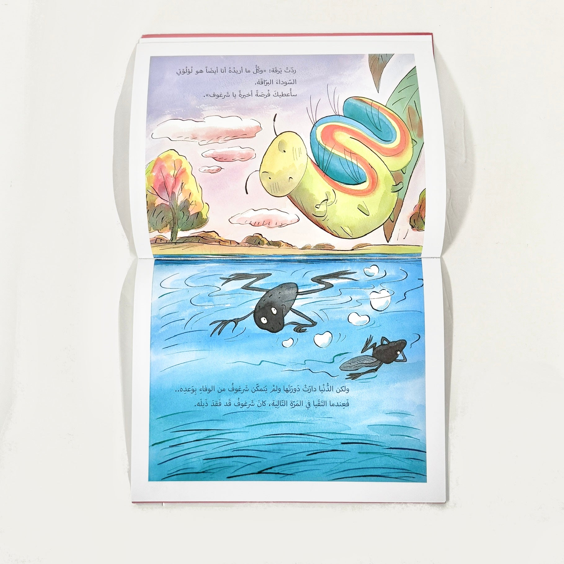 وعد الشرغوف