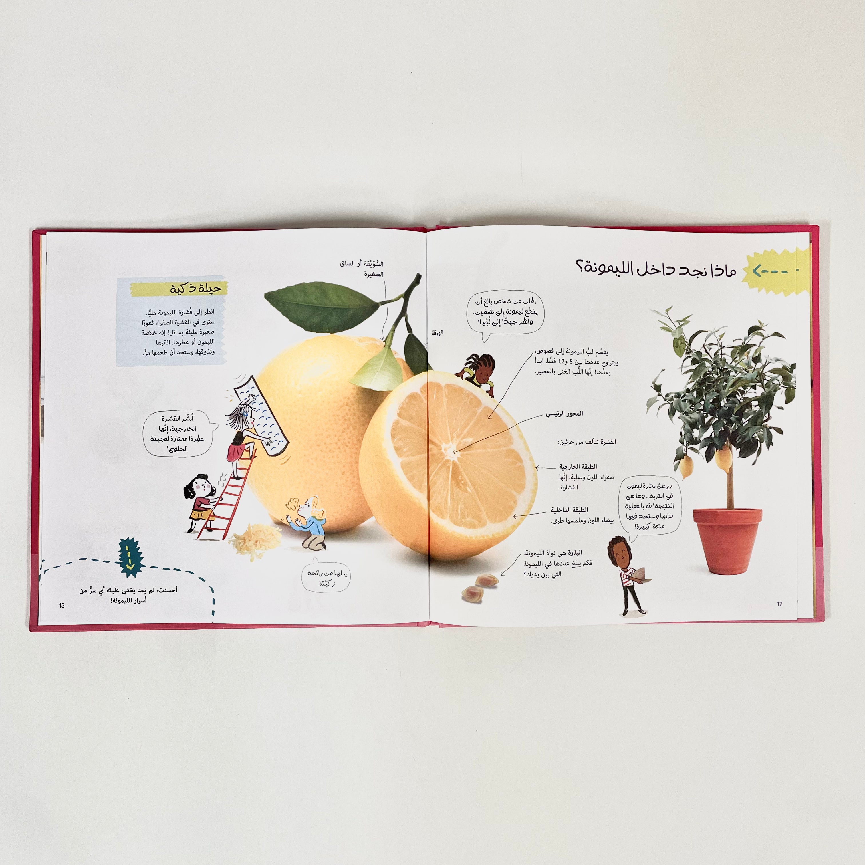 اختبر وتعلم مع الليمون