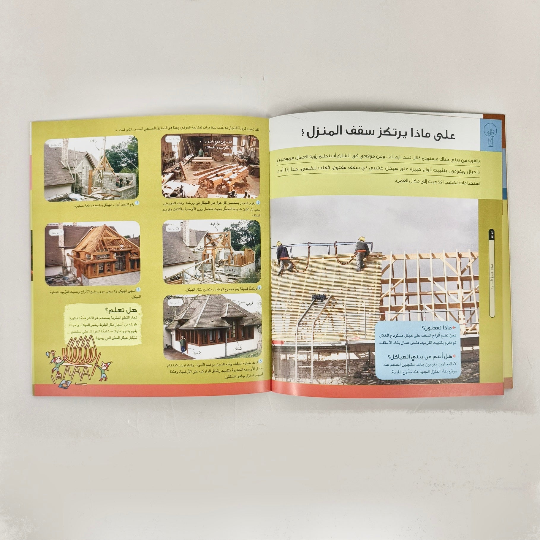 لماذا نقطع الأشجار؟