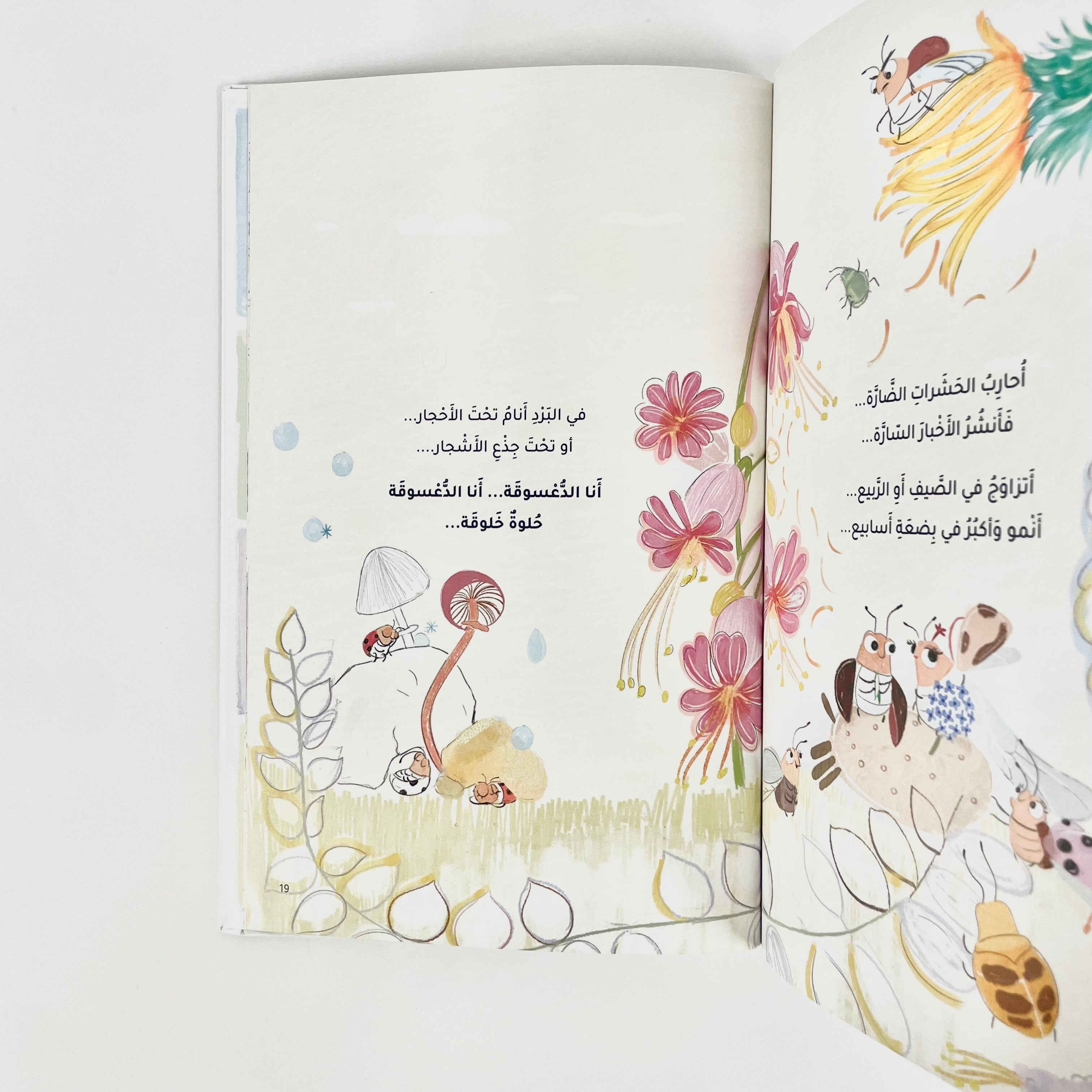 ديوان الحشرات