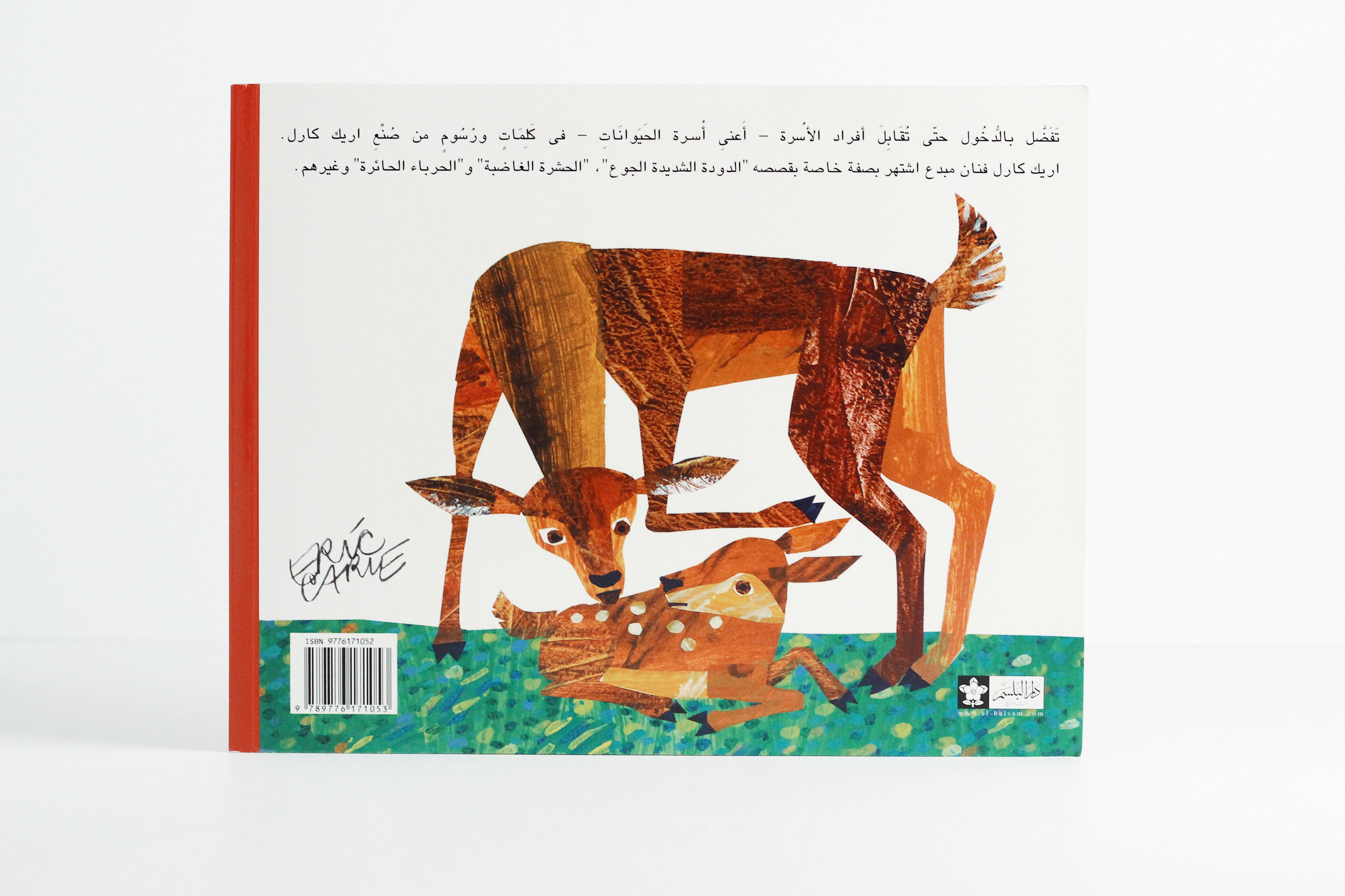 هل للكنغر أيضاَ أم؟