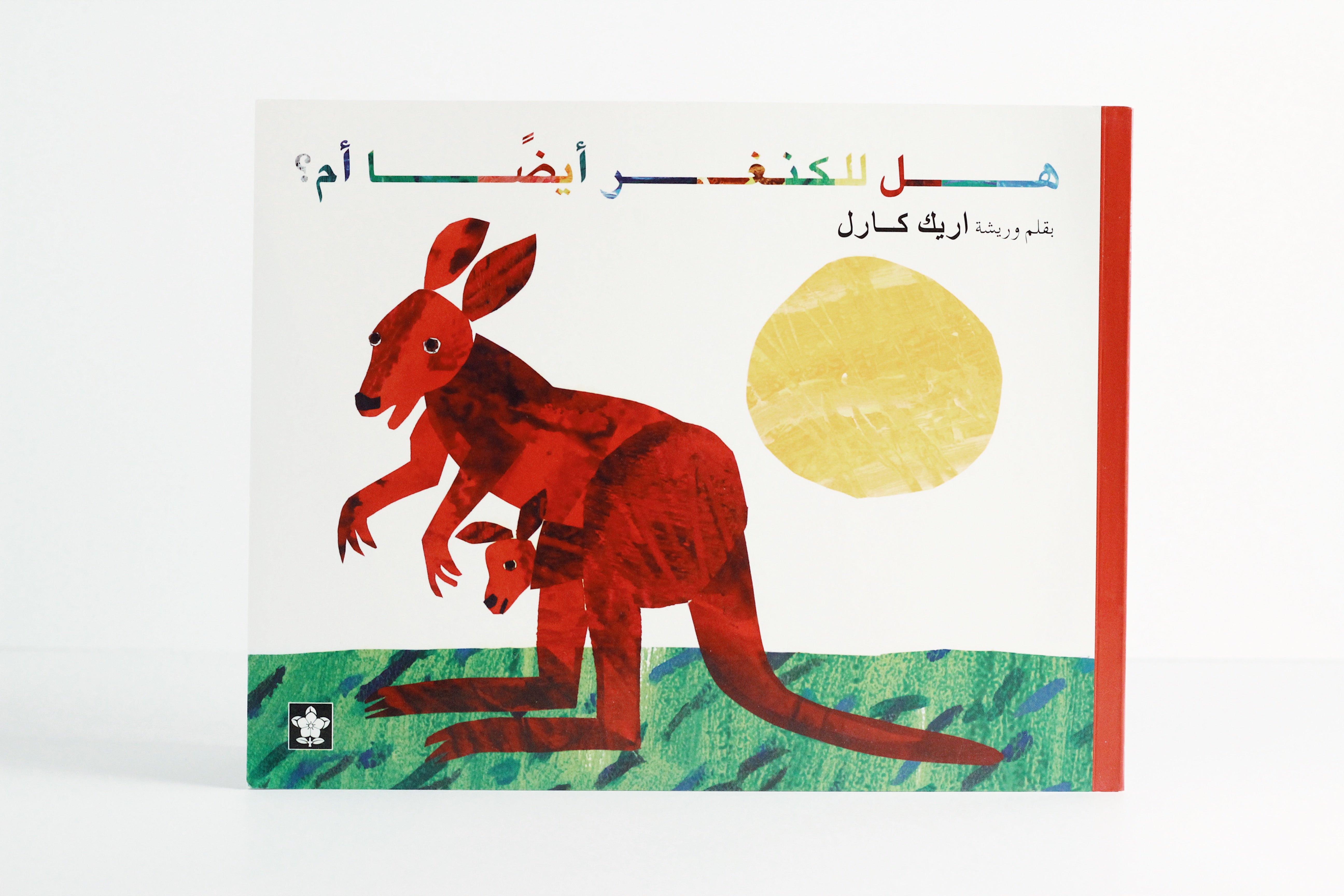 هل للكنغر أيضاَ أم؟