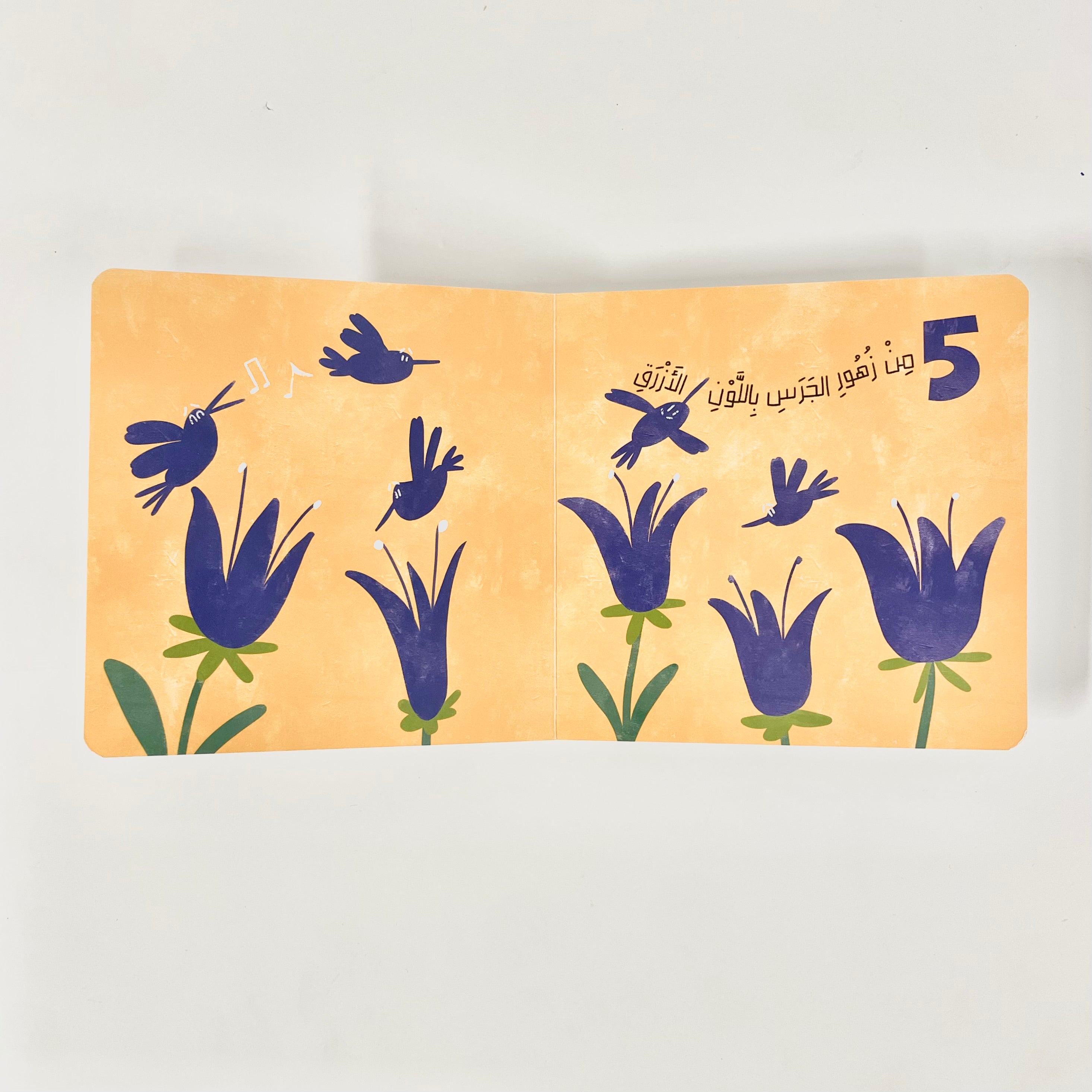 حقل الأزهار