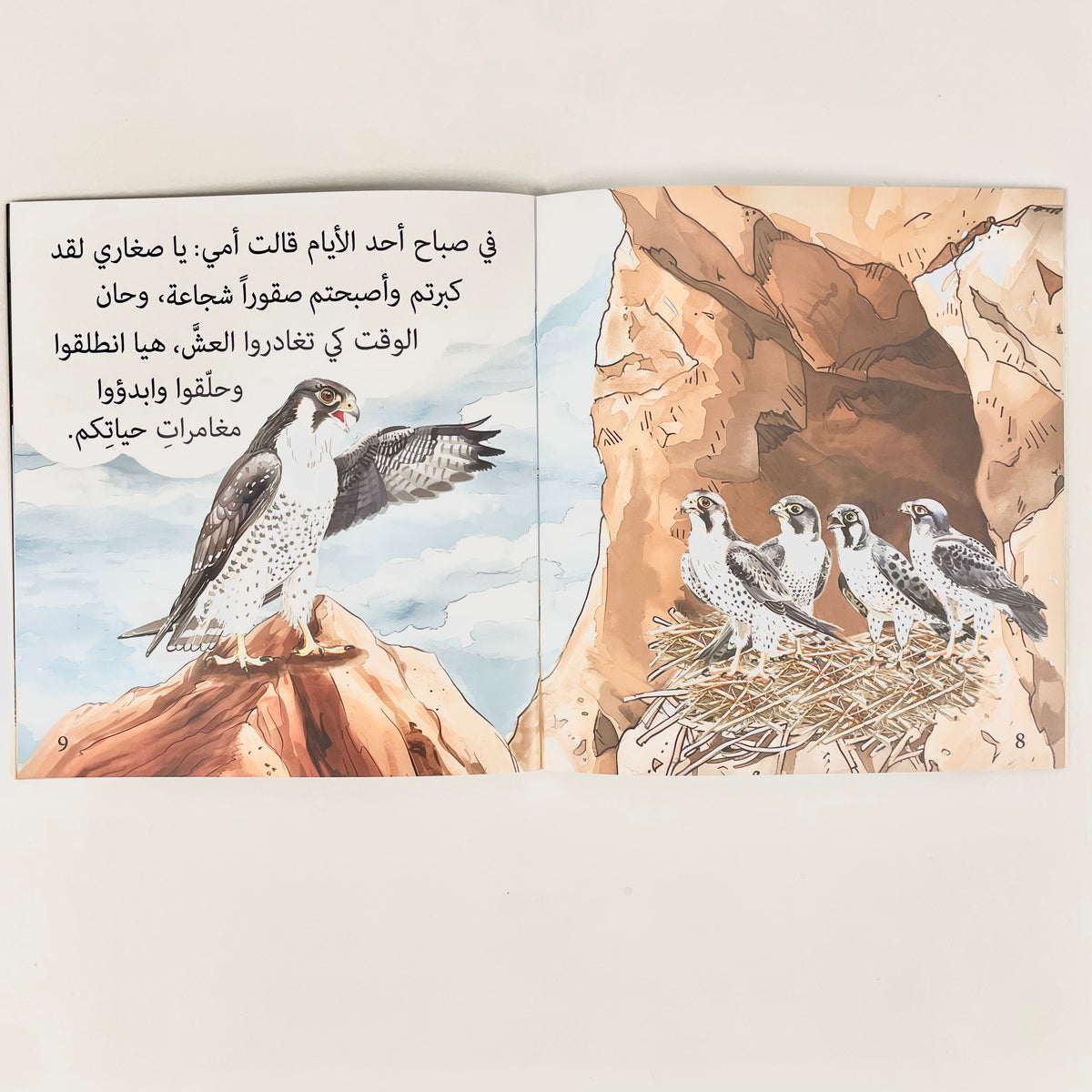 شاهين