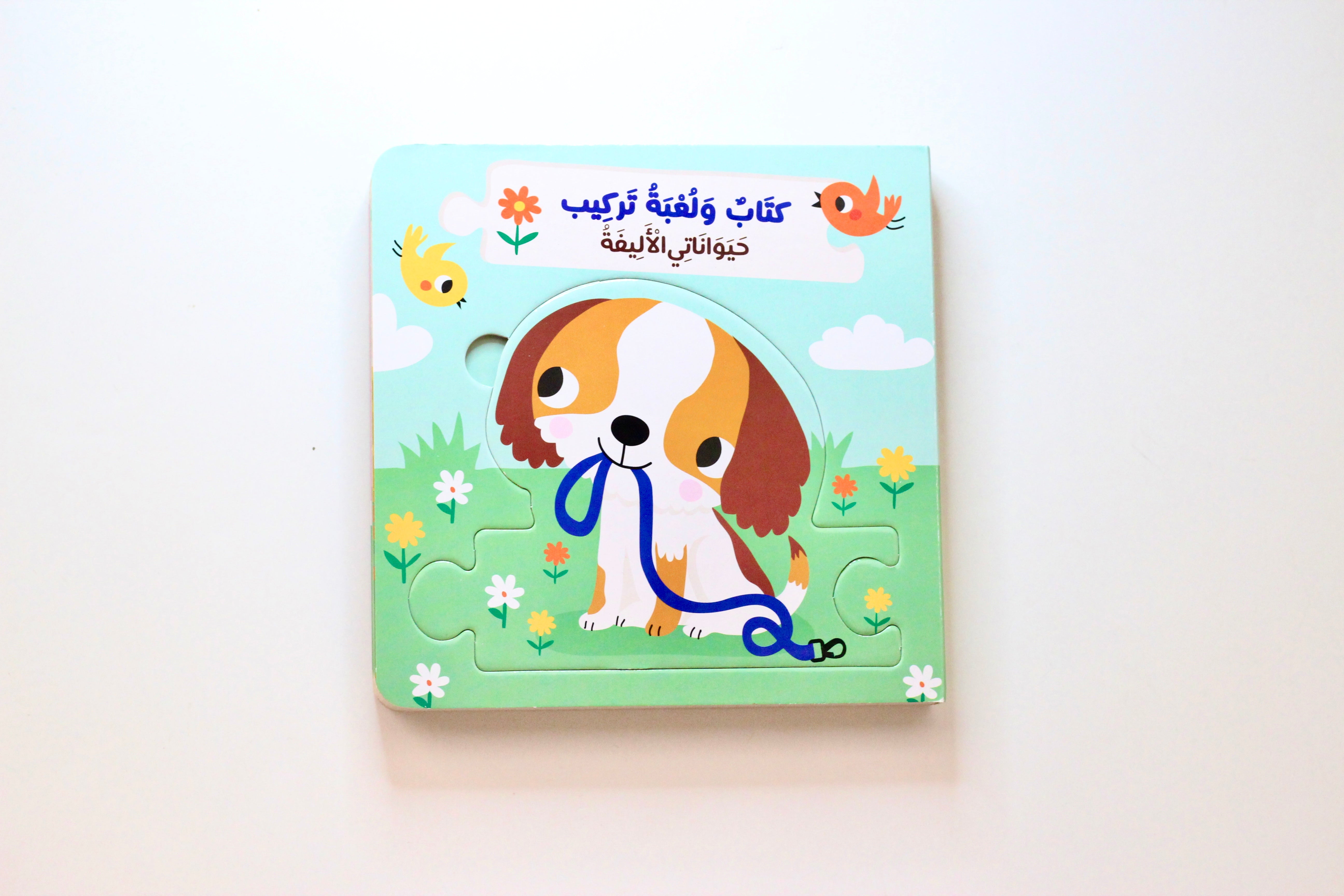 حيواناتي الأليفة