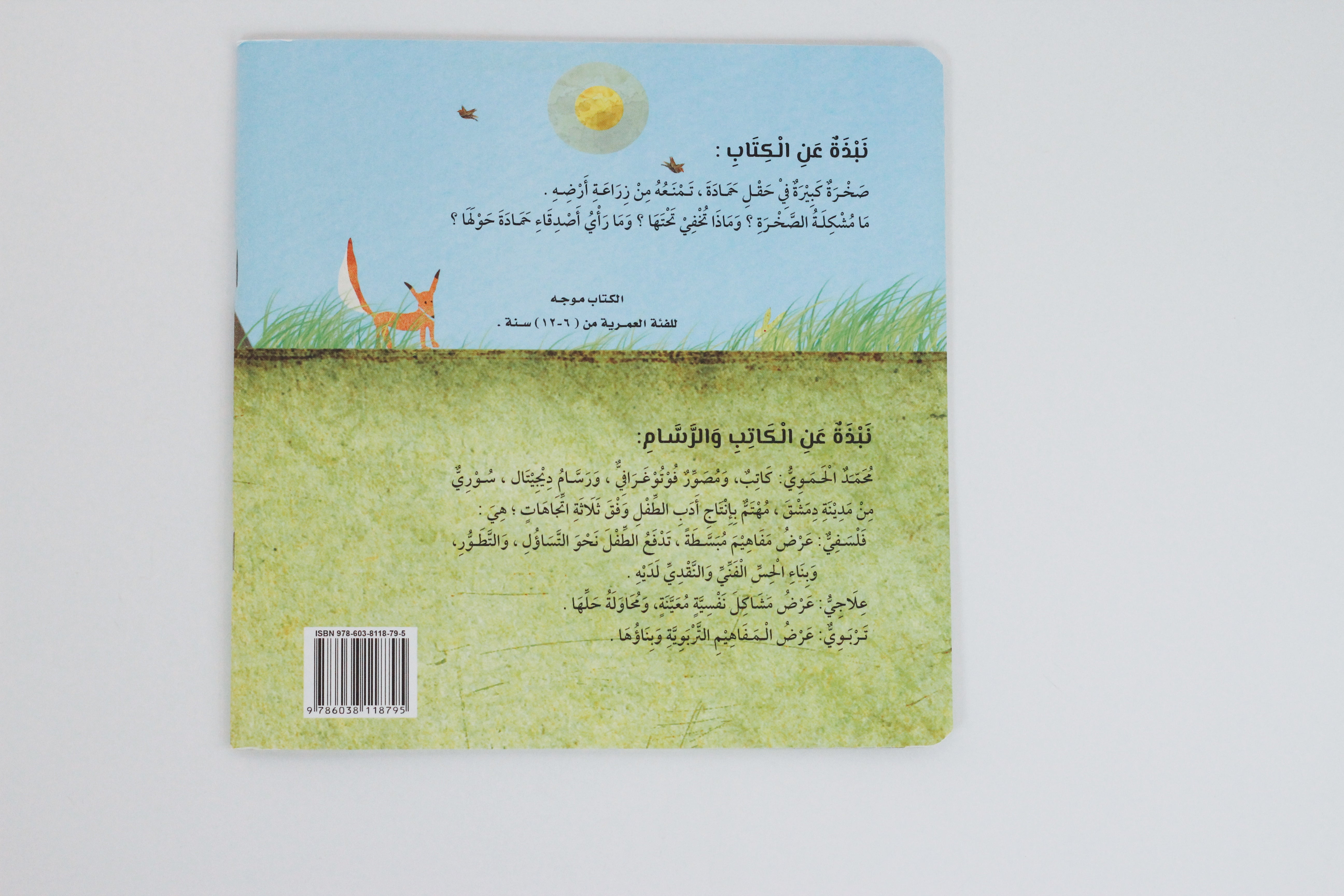صخرة حمادة