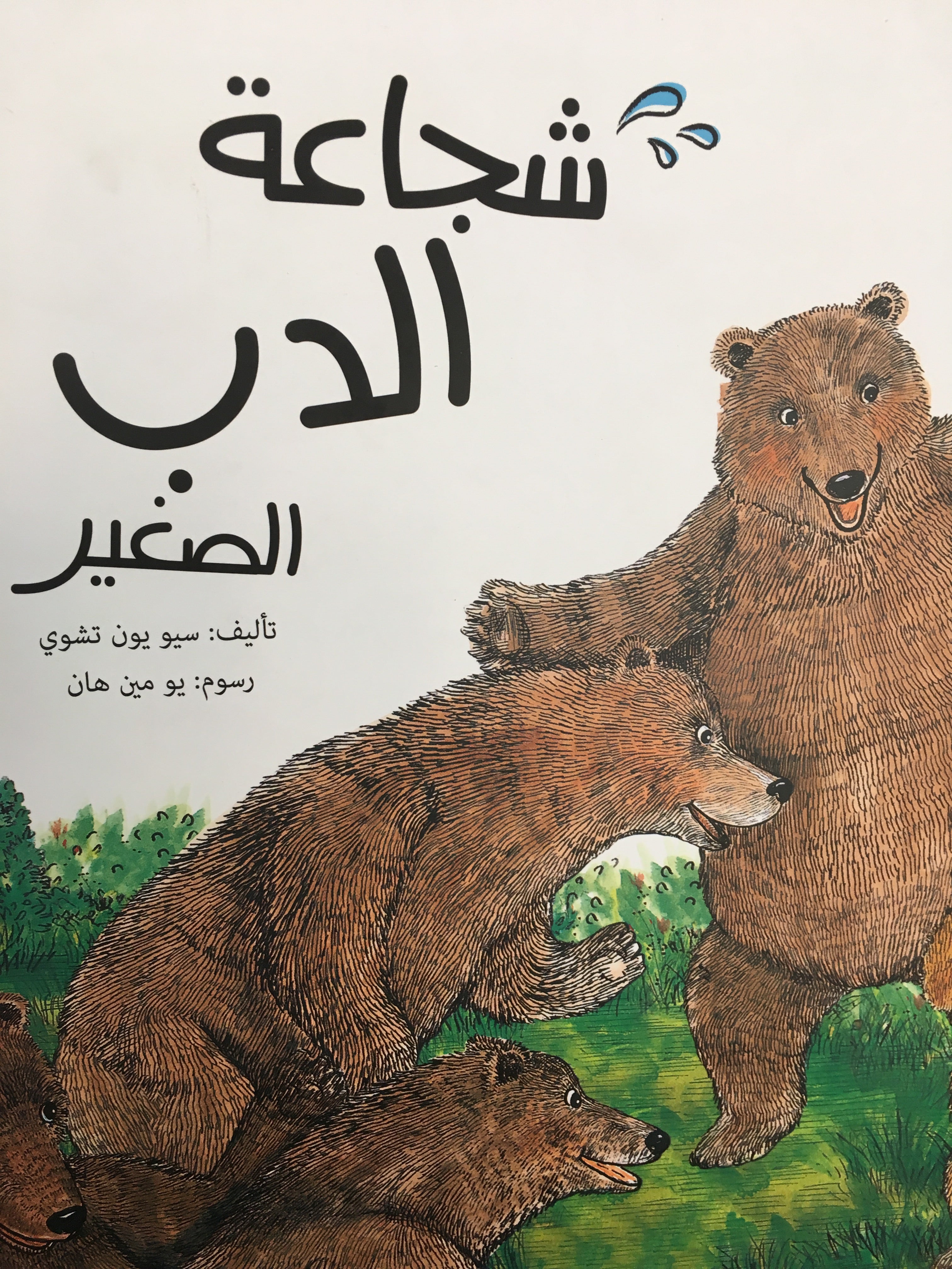 شجاعة الدب الصغير